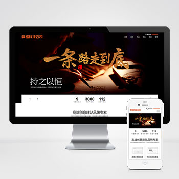 网站建设类 高端网络公司网站