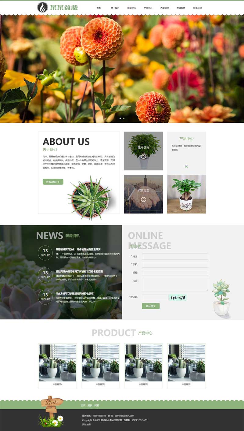 绿植花卉盆栽 办公室盆栽