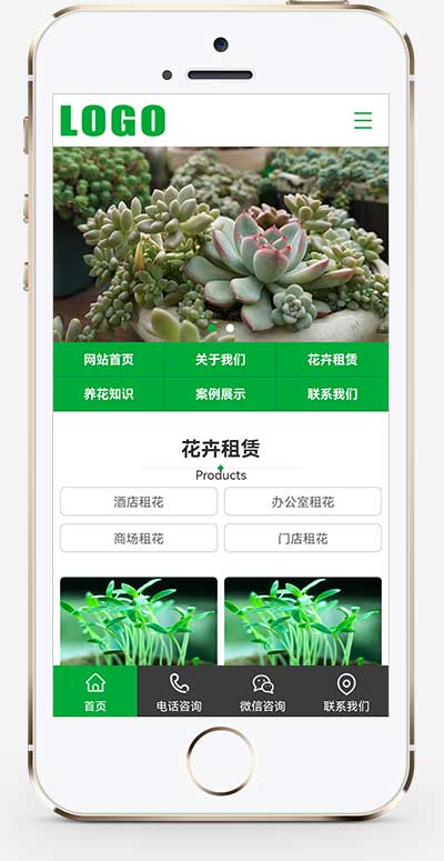 花卉租赁盆栽绿植