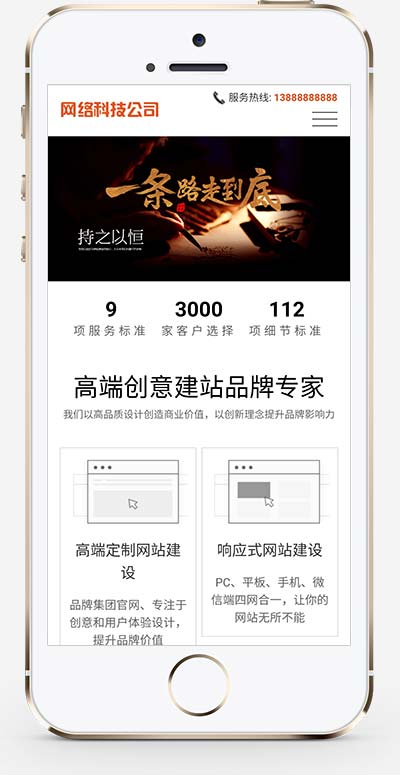 网站建设类 高端网络公司网站