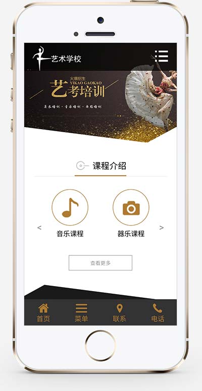 艺考培训学校类网站 艺术