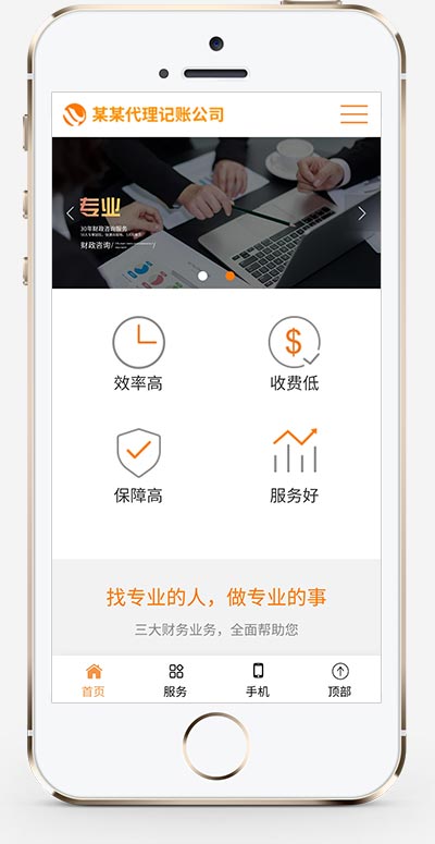 代理记账财政咨询服务类