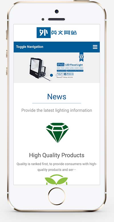 外贸灯具网站 LED灯具英文外贸