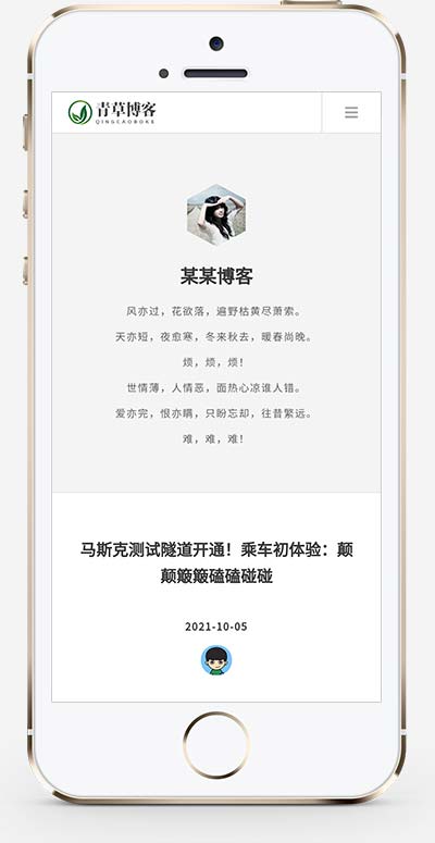 极简个人博客自媒体类 文章博