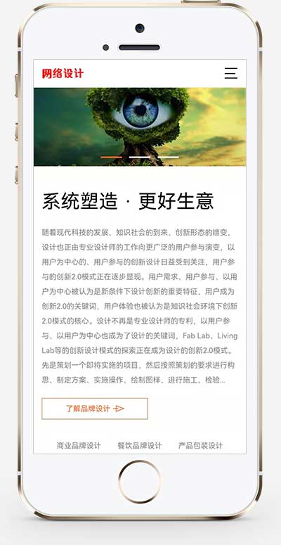 品牌策划设计公司 网络设计公司