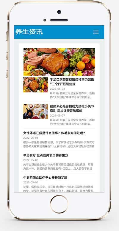 百度MIP三合一养生资讯文章新闻博客类