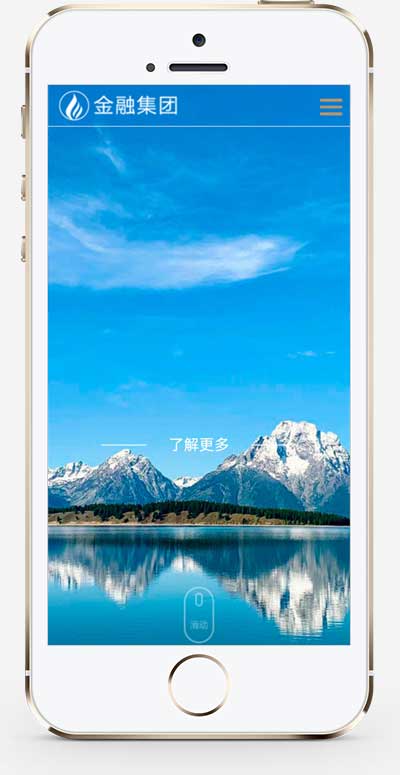集团企业 集团公司通用网